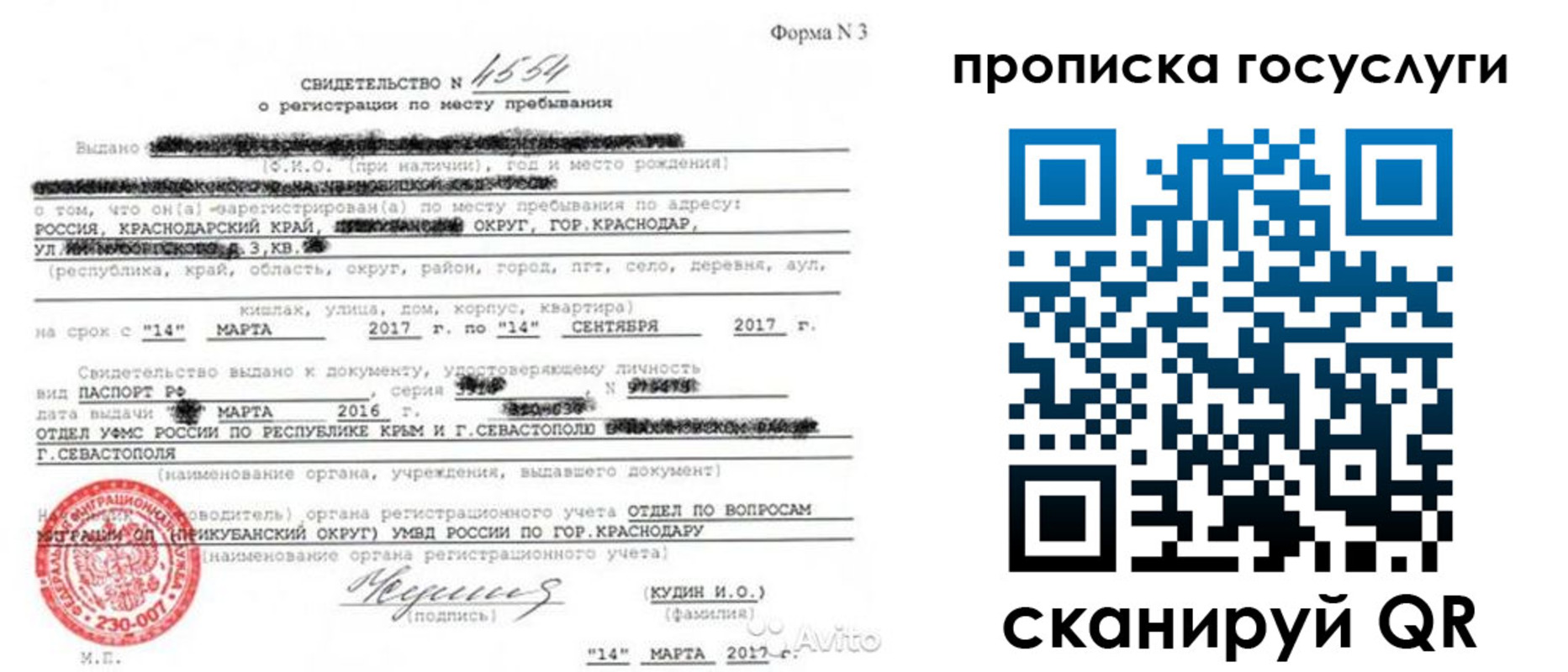 купить прописку в Бабаево